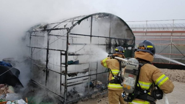 출동한 소방관들에 의해 비닐하우스에서 발생한 화재가 진압됐다. 사진=제주소방안전본부.