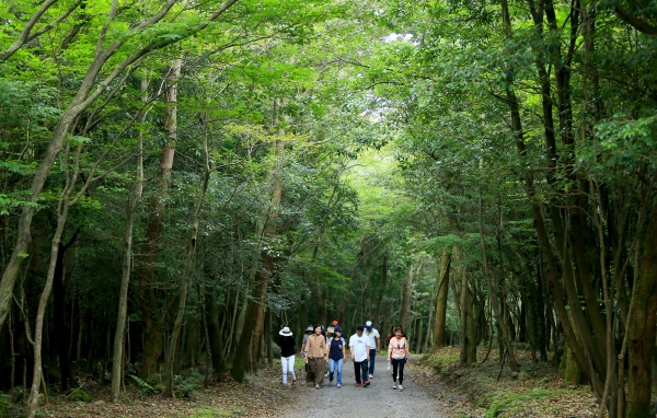 산림휴양관리소, 안전하고 쾌적한 명품숲길 조성.