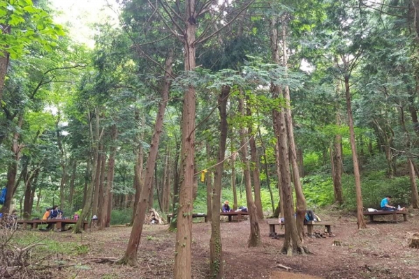 절물자연휴양림 내 편백숲.