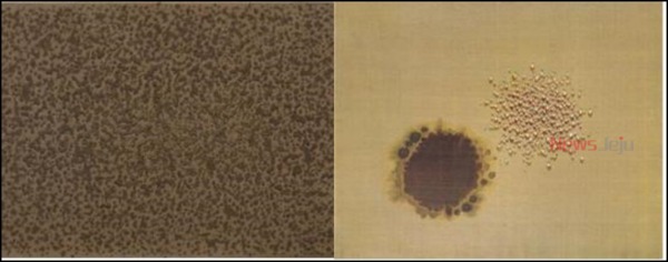 ▲ '물방울' 캔버스에 유채 80×116cm, 1979(왼쪽),  '물방울' 캔버스에 유채 182×230cm, 1981(오른쪽). ©Newsjeju