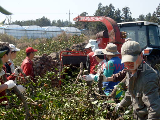 ▲ 2018년 농업기술센터 파쇄기를 이용한 간벌목 파쇄 모습. ©Newsjeju