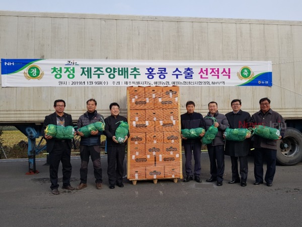 ▲ 지난 9일 오전, 애월농협  APC에서  '18~19년산 양배추 수출을 알리는 양배추 적재작업이 시작됐다. ©Newsjeju