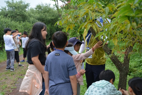 ▲ 한라생태숲에서 진행되는 여름 생태학교. ©Newsjeju