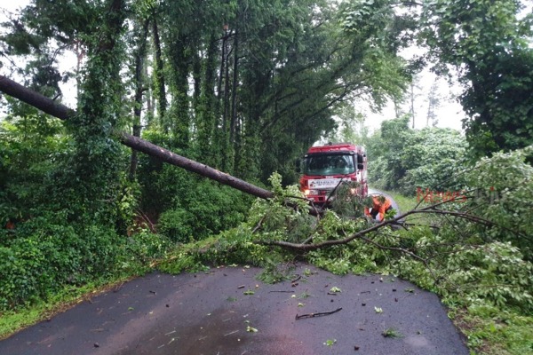 ▲ 강풍에 의해 나무가 쓰러져 도로를 가로막아 이를 제거하고 있다. ©Newsjeju