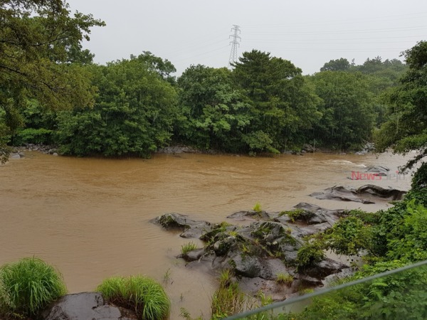 ▲ 한라산 윗세오름에 963mm의 기록적인 폭우가 쏟아지면서 하천에 많은 양의 빗물이 흐르고 있다. ©Newsjeju