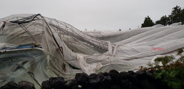 ▲ 태풍 링링의 강풍으로 파손된 서귀포 지역 비닐하우스 농가. ©Newsjeju