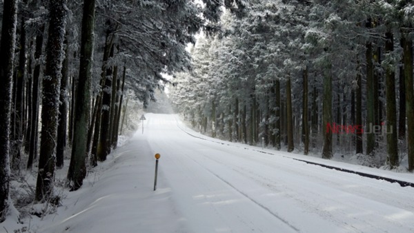 ▲ 산림청의 12월 국유림 명품 숲에 선정된 제주 '사려니 숲'의 설경 모습 ©Newsjeju