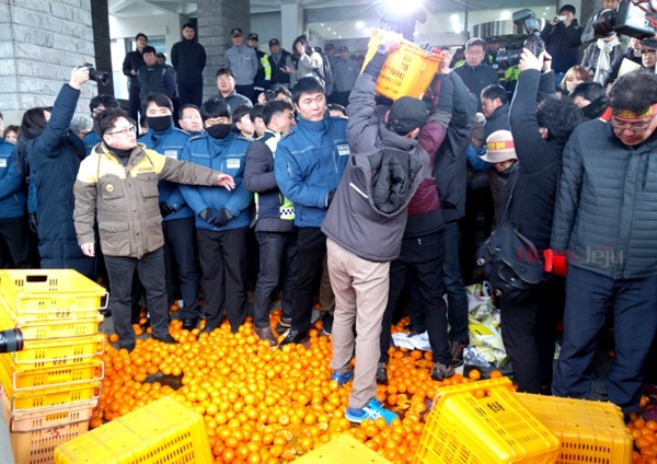 ▲ 경찰 및 제주도청 공무원들과 대치를 하고 있는 감귤 농민들 ©Newsjeju