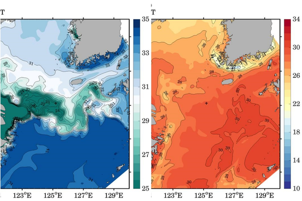 ▲ 사진 왼쪽은 오는 8월 24일로 예측된 염분 분포 예상도. 진한 녹색이 저염분수 물덩어리다. 제주 남쪽 우측에 있는 저염분수는 지난 5호 태풍으로 희석돼 일본으로 흘러갔다. 사진 오른쪽은 수온 분포 예상도다. 대만난류가 북상 중이어서 고수온이 제주해역을 휩쓸고 지나갈 확률이 높다. ©Newsjeju