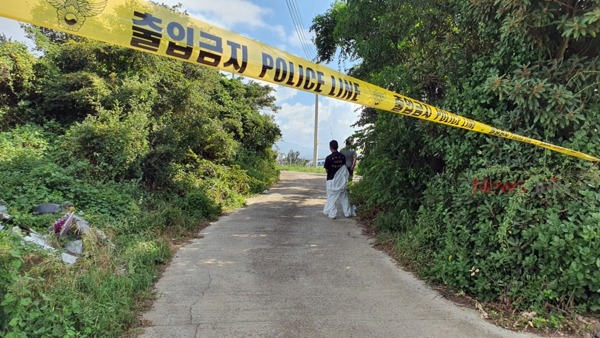 제주국제공항으로 가는 이면도로 인근 밭에서 30대 후반 여성 변사체가 발견돼 경찰이 수사에 나섰다.