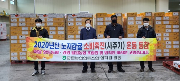 ▲ 중문농협은 감귤 소비촉진(사주기) 운동을 적극적으로 벌이고 있다. ©Newsjeju