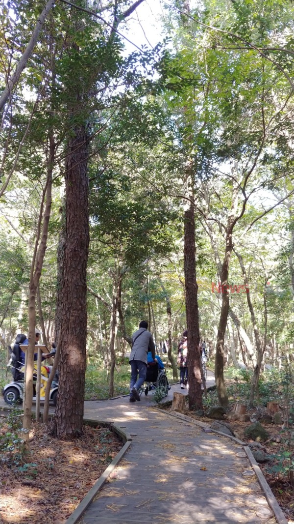 ▲ 서귀포 치유의 숲-노고록 무장애나눔길 조성. ©Newsjeju