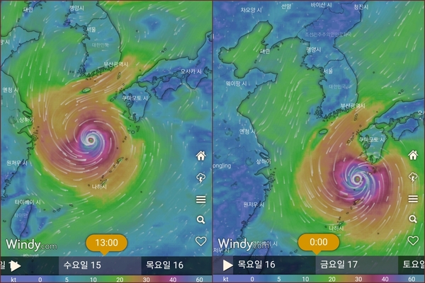 ▲ 체코 기상청에서 제공하는 어플리케이션 '윈디'가 예측하고 있는 제14호 태풍 찬투(CHANTHU)의 14일 이후 예상 진로도. 제주로 향하던 태풍이 14일부터 남하한 뒤 일본 해역을 따라 이동할 것으로 예측됐다. ©Newsjeju