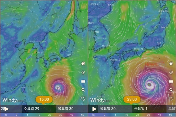 ▲ 체코 기상청의 어플리케이션 윈디(Windy)가 예측한 29일 이후 태풍 민들레의 예상 진로도. ©Newsjeju