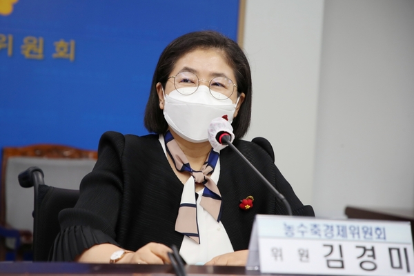 ▲ 김경미 의원(더불어민주당, 비례대표).