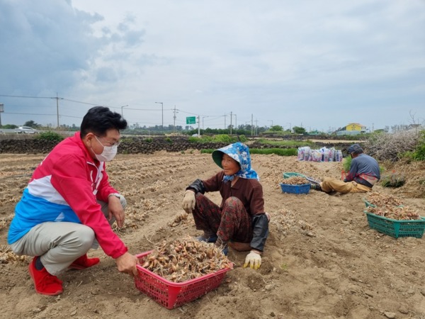 ▲ 구좌읍 쪽파 농사를 짓는 농민과 대화를 나누고 있는 허향진 후보. ©Newsjeju