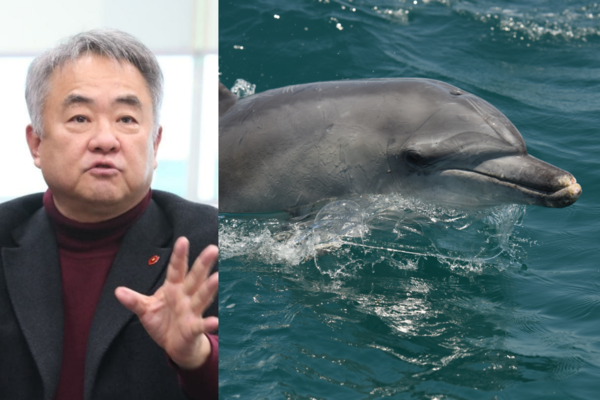 ▲ 송재호 국회의원이 남방큰돌고래의 서식지를 해양보호구역으로 지정할 필요가 있다고 말했다. ©Newsjeju