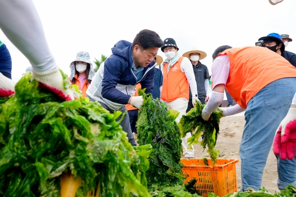 ▲ 오영훈 제주도지사가 26일 일일 해양정화 활동에 나섰다. ©Newsjeju