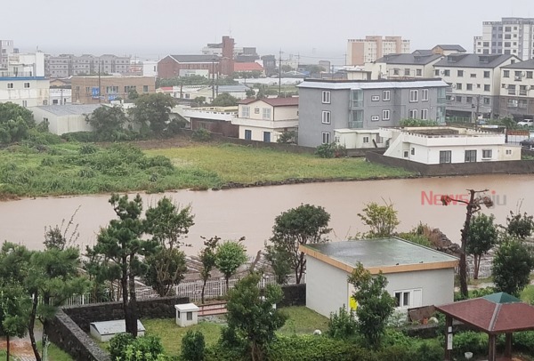 ▲ 서귀포시 대정읍 지역이 3일 0시부터 4일 오후 3시까지 156mm의 누적 강수량을 보이면서 밭이 침수됐다 / 사진 - 독자제공 ©Newsjeju