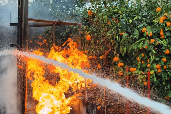 ▲ 11일 안덕면 소재 비닐하우스서 화재가 발생했다. ©Newsjeju