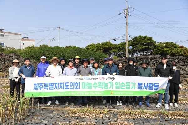 ▲ 제주도의원과 제주도의회 직원 등 30여 명이 23일 마늘 수확 일손돕기에 나섰다. ©Newsjeju