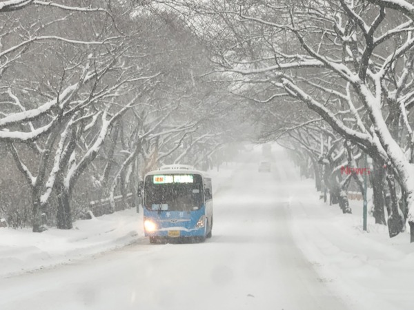 ▲22일 눈이 쌓인 제주대 입구 진입도로. ©Newsjeju